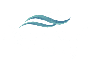 seacoast chimney logo